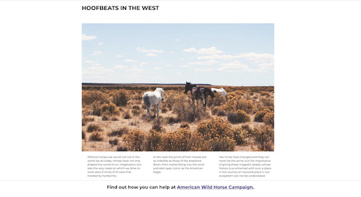 Hoofbeats ing the West Site Photo